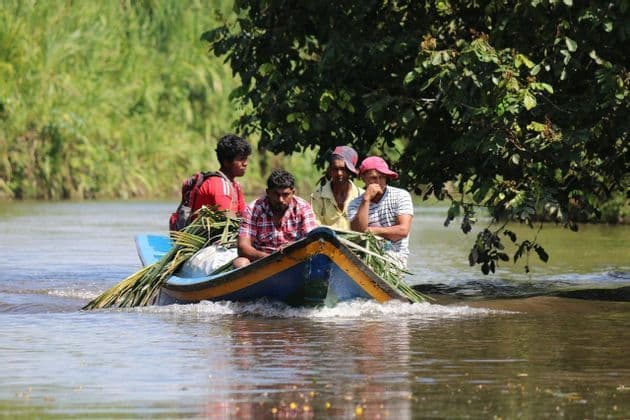 Quatre hommes voyagent dans une petite embarcation remplie de palmes sur une rivière, bordée d'une végétation luxuriante.