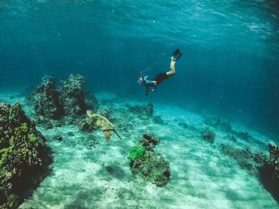 A person in snorkeling gear swims underwater next to a sea turtle over a sandy seabed with coral reefs.