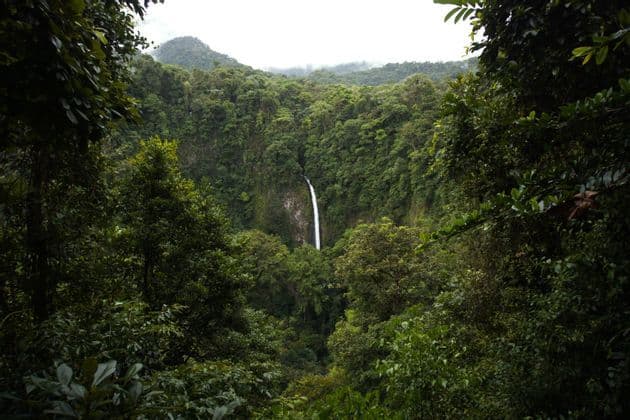 A tall, narrow waterfall cascades down a cliff face in the center of a dense, lush green jungle under an overcast sky.