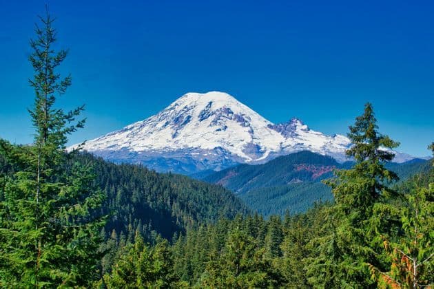 Una grande montagna innevata si erge su una fitta foresta sempreverde sotto un cielo azzurro limpido e brillante.