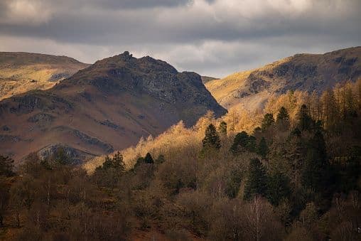 A patch of sunlight illuminates a golden-hued forest at the base of rugged brown mountains under a cloudy sky.