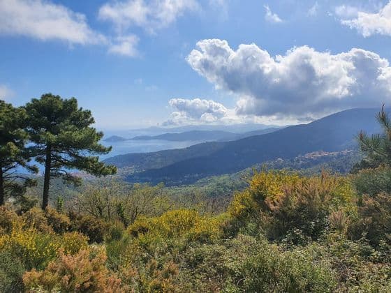 Una vista da una collina su un paesaggio verde lussureggiante, verso il mare e le montagne, sotto un cielo parzialmente nuvoloso.