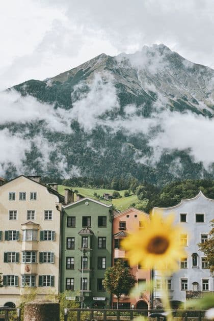 Eine Reihe bunter Gebäude steht am Fuße eines großen, wolkenverhangenen Berges, mit einer unscharfen Sonnenblume im Vordergrund.