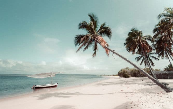 A leaning palm tree on a sandy tropical beach with a small boat anchored in the calm, blue ocean.