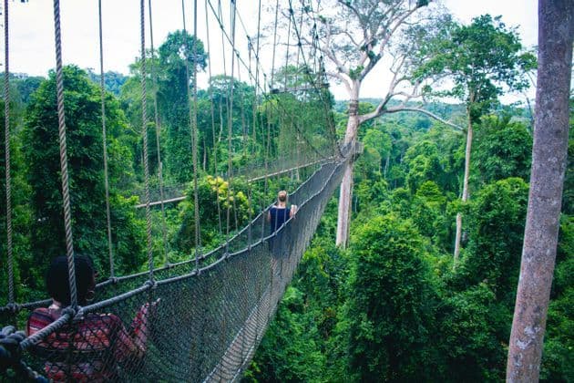 Due persone di un viaggio di gruppo WeRoad camminano su un ponte di corda sospeso in alto sopra una giungla verde e lussureggiante.