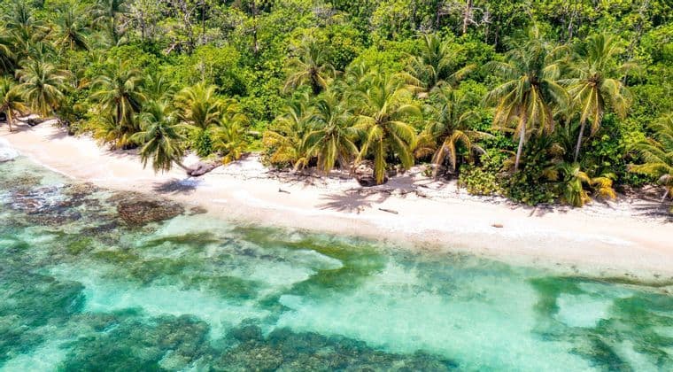 Una vista aerea di una spiaggia tropicale con sabbia bianca, palme e acqua cristallina turchese accanto a una giungla lussureggiante.