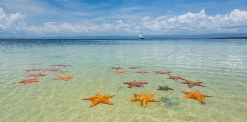 Stella marina arancione su fondale sabbioso di acque chiare e poco profonde, con una barca sullo sfondo.