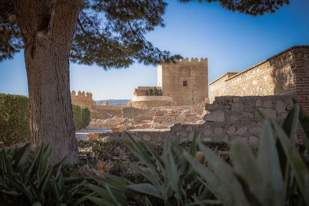 Una antigua fortaleza de piedra con torres y ruinas, enmarcada por un gran árbol y follaje verde en un día soleado.