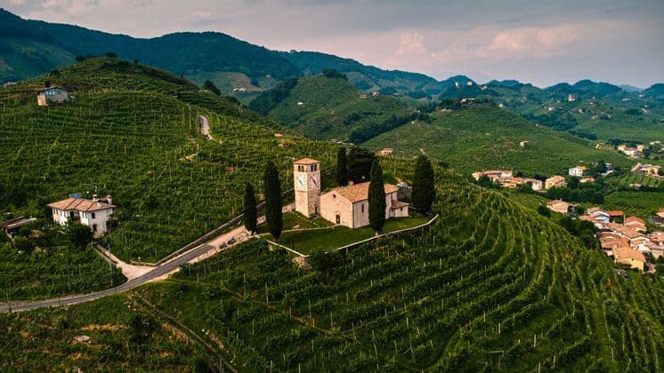 Veduta aerea di una chiesa in pietra con campanile, circondata da dolci colline coperte da rigogliosi vigneti.