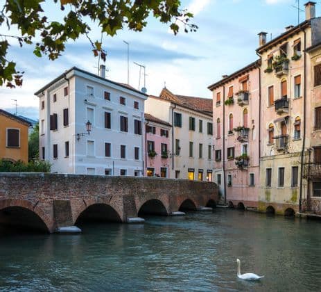 Un cigno bianco nuota in un canale accanto a un ponte ad archi in mattoni e a edifici colorati sotto un cielo nuvoloso.