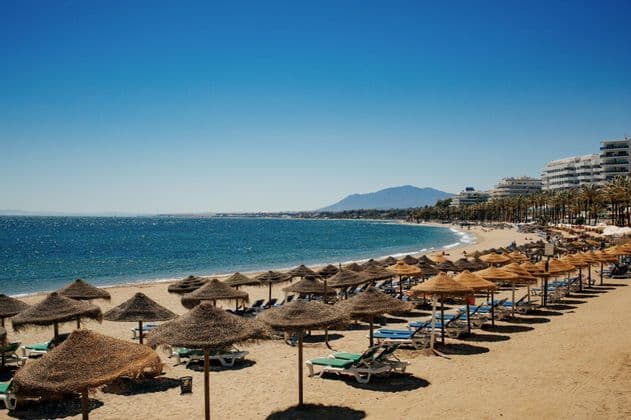 Filas de sombrillas de paja y tumbonas se alinean en una playa de arena junto al mar azul, con un pueblo costero y montañas al fondo.