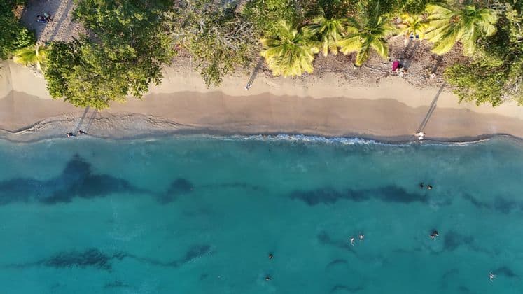 Una vista aerea di un gruppo WeRoad che nuota in acque turchesi e si rilassa su una spiaggia sabbiosa con palme.