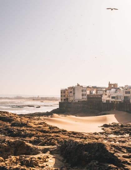 Una città costiera con edifici bianchi sorge su una costa rocciosa, accanto a una piccola spiaggia sabbiosa, con uccelli che volano nel cielo velato.