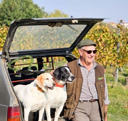 Un uomo anziano con un berretto piatto è in piedi accanto al bagagliaio aperto di un'auto, dove due cani sono seduti, con un vigneto sullo sfondo.