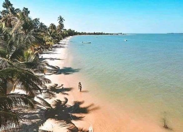 Vue aérienne d'une femme marchant sur une plage tropicale de sable fin, bordée de palmiers dont les ombres se projettent sur le sable.