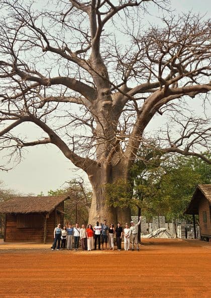 Eine WeRoad-Gruppe posiert für ein Foto auf roter Erde vor einem riesigen, blattlosen Baobab-Baum.