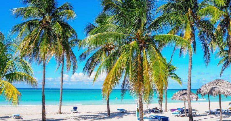 Hohe Palmen stehen an einem weißen Sandstrand neben türkisfarbenem Meerwasser unter einem klaren blauen Himmel.