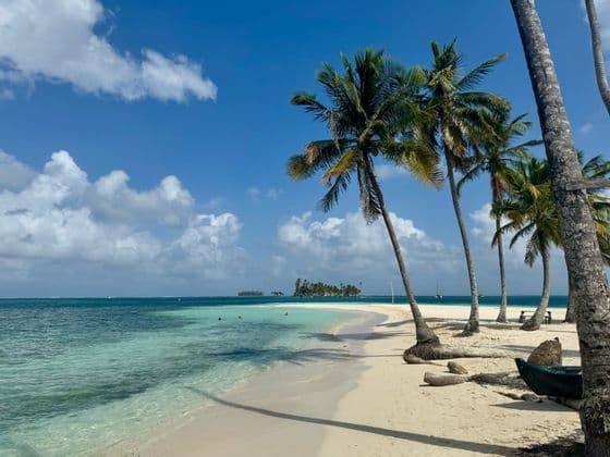 De hauts palmiers bordent une plage de sable blanc aux eaux turquoise limpides, avec une petite île visible à l'horizon sous un ciel partiellement nuageux.