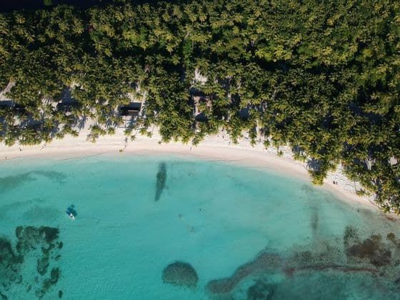 Panoramica aerea di una spiaggia di sabbia bianca orlata di palme, accanto a limpide acque oceaniche turchesi con una piccola barca.