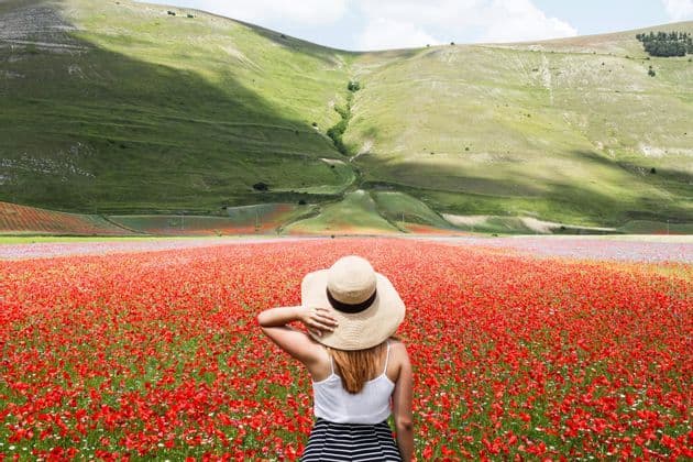 Una donna con un cappello di paglia guarda un vasto campo di papaveri rossi, con una grande collina verde che si erge sullo sfondo.