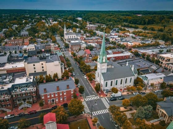 An aerial view of a historic town center with churches, brick buildings, and tree-lined streets next to a large forest and river.
