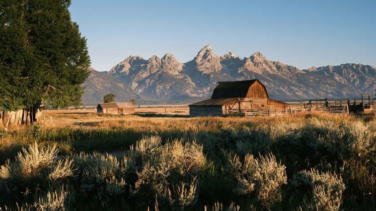 A rustic wooden barn stands in a grassy field with sagebrush in front of a jagged mountain range.