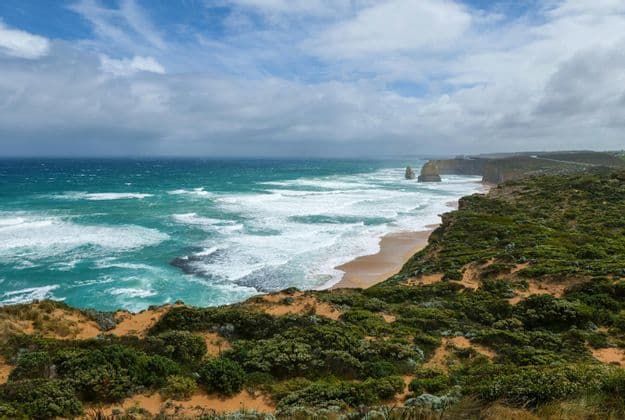 A view from a vegetated clifftop over a rugged coastline with turquoise waves crashing on a sandy beach.