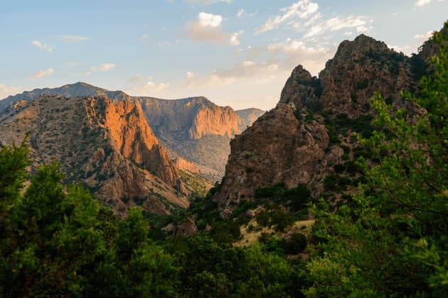 Golden sunset light illuminates rocky mountains and a deep canyon, with lush green trees in the foreground.