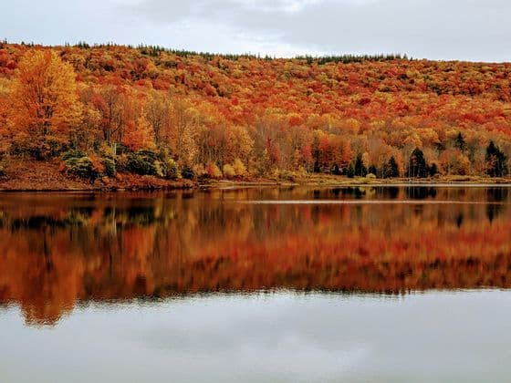 A hillside forest with bright orange and red autumn foliage is reflected in the calm surface of a lake under a cloudy sky.