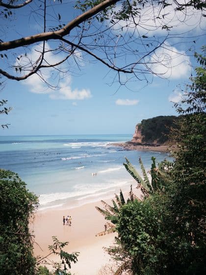 Una vista dall'alto di una spiaggia sabbiosa con persone sulla riva e surfisti nell'oceano, incorniciata da vegetazione verde sotto un cielo azzurro.