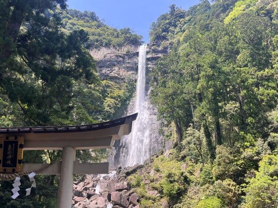 Una cascata imponente scende da una scogliera rocciosa in una fitta foresta, vista da dietro il tetto di un tradizionale torii giapponese.