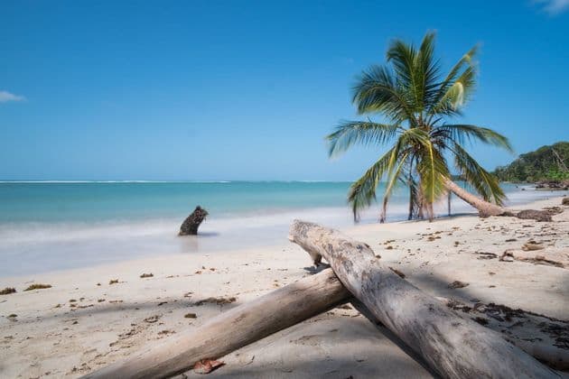 Langzeitbelichtung eines tropischen Strandes mit einer Palme, Treibholzstämmen und ruhigem türkisfarbenem Wasser unter klarem blauem Himmel.