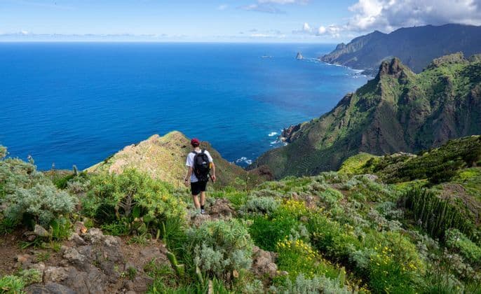 Una persona con uno zaino percorre un sentiero di montagna rigoglioso e verde che si affaccia su una costa frastagliata e un oceano blu.