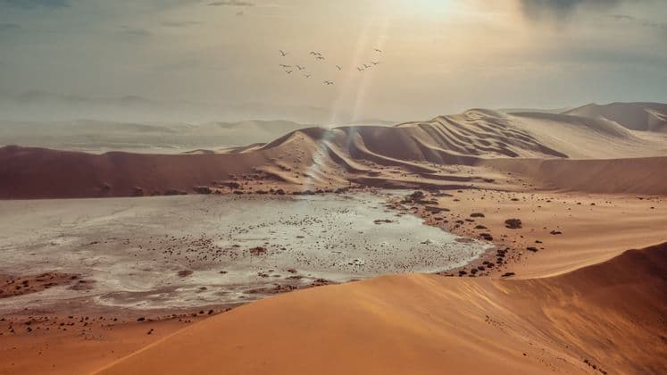 A vast desert landscape with rolling orange sand dunes, a dry lakebed, and a flock of birds flying in the sunlit sky.