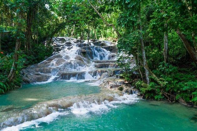 Una cascada fluye sobre amplias rocas escalonadas hacia una poza turquesa, rodeada por una densa y exuberante selva verde.