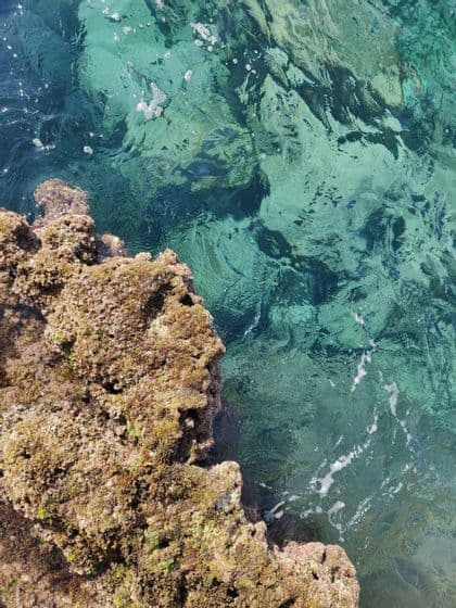 Una vista dall'alto di acqua di mare limpida e turchese che si increspa contro una formazione rocciosa ricoperta di muschio sulla costa.