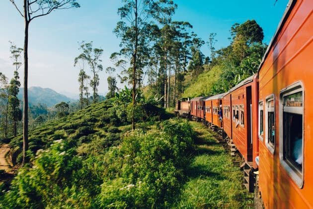 Un treno arancione viaggia su un binario attraverso un paesaggio collinare ricoperto di piantagioni di tè verde e alberi ad alto fusto.