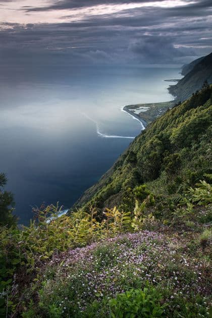Una vista da un'alta scogliera ricoperta di fiori selvatici, che si affaccia su una lunga costa con sabbia scura e un cielo nuvoloso.