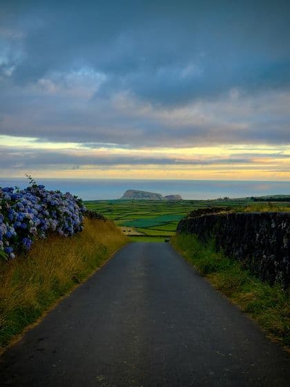 Una stradina scende tra ortensie blu e un muro in pietra, affacciandosi su campi verdi a mosaico e l'oceano.
