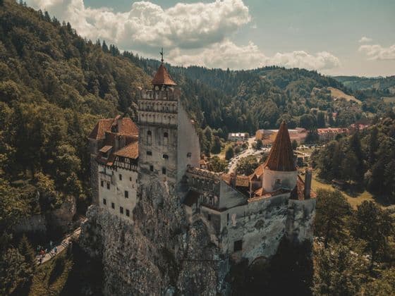 Eine Luftaufnahme einer historischen Burg mit roten Ziegeldächern, erbaut auf einem felsigen Kliff, das einen dichten grünen Wald überblickt.