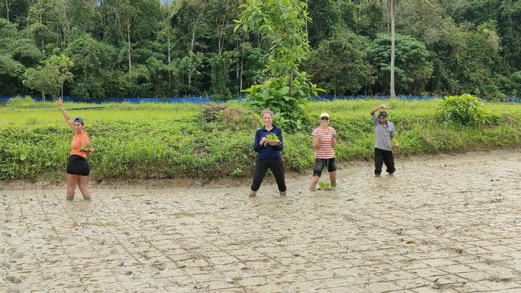 Un voyage de groupe WeRoad de quatre personnes posant avec de jeunes plants de riz dans une rizière boueuse, avec une forêt en arrière-plan.