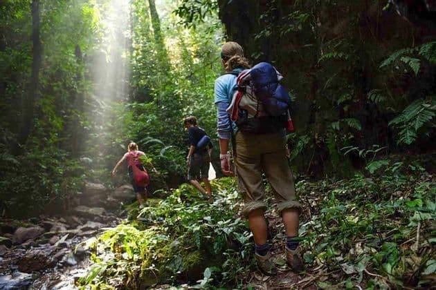 Un'escursione di gruppo WeRoad su un sentiero roccioso attraverso una giungla fitta, con raggi di sole che filtrano dalla volta.