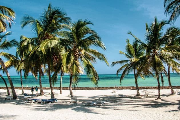 Des palmiers se dressent sur une plage de sable blanc avec des chaises longues vides, surplombant une eau turquoise calme sous un ciel bleu clair.