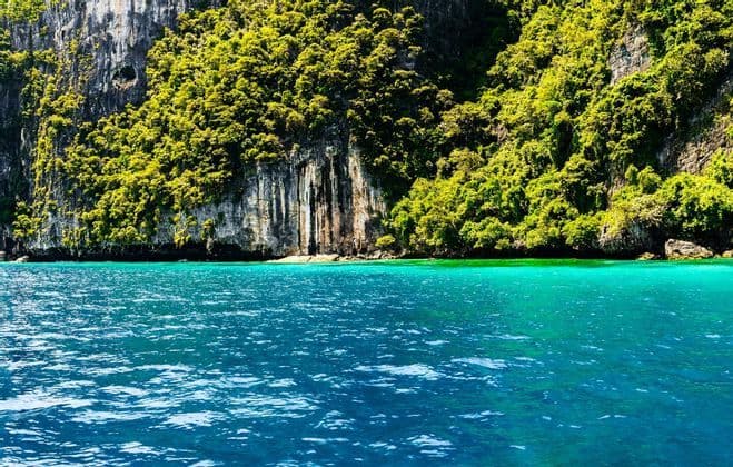 Una scogliera ripida e rocciosa, coperta da una fitta vegetazione verde, si erge accanto a acque oceaniche limpide, turchesi e blu.