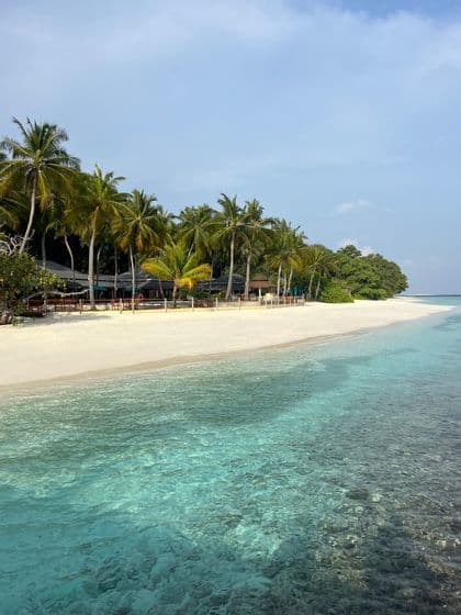 Una spiaggia di sabbia bianca con alte palme incontra le acque limpide e turchesi di un mare tropicale.
