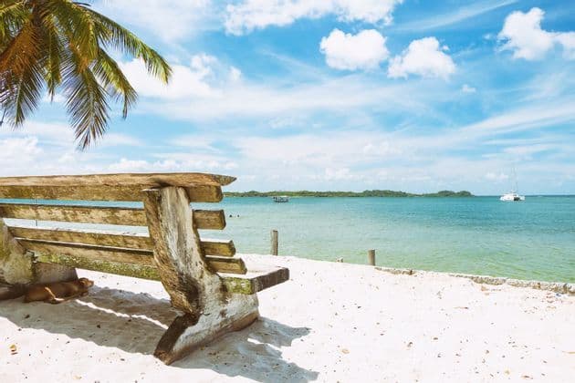 A rustic wooden bench sits on a white sand beach with a dog resting in its shade, overlooking a calm turquoise sea under a partly cloudy sky.