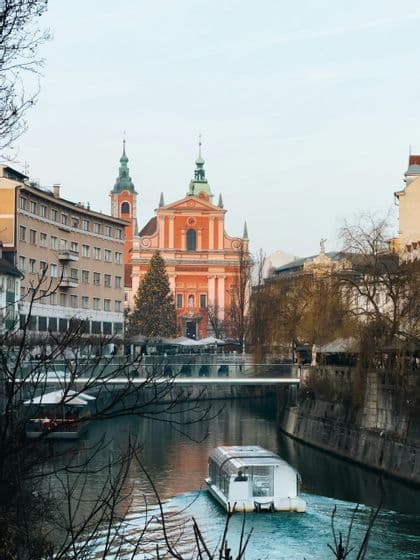 Una barca turistica bianca naviga lungo un fiume in una città, passando accanto a una grande chiesa rosa e un albero di Natale decorato sulla riva.