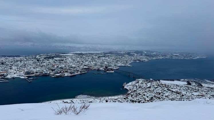 A high-angle view of a snow-covered city on a peninsula, with a bridge crossing the dark water under an overcast sky.