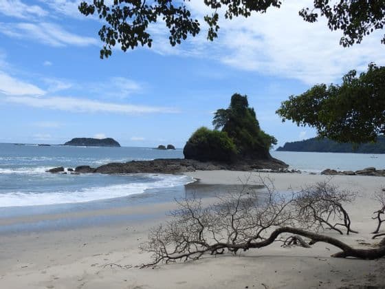 Beach in Manuel Antonio Rainforest beach in Manuel Antonio National Park, Costa Rica