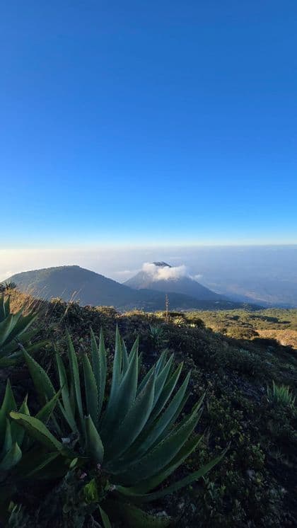View from the slopes of the Santa Ana volcano towards the Izalco cone